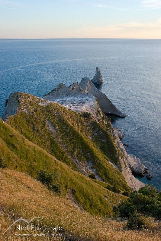 Cape-Kidnappers_5723.jpg