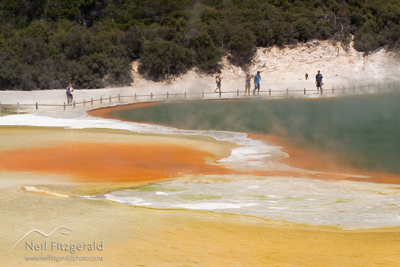 champagne-pool_10662.jpg