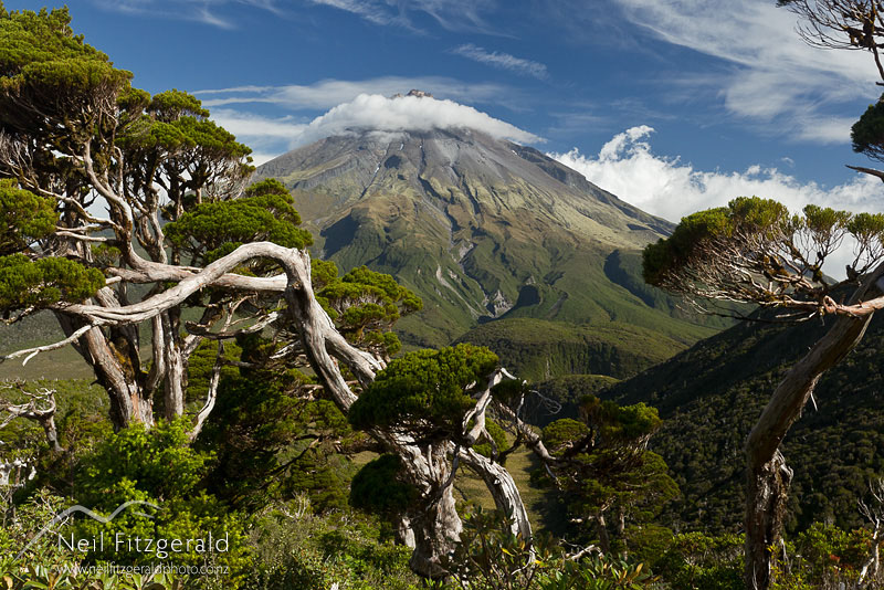 Mt-Egmont_15248.jpg