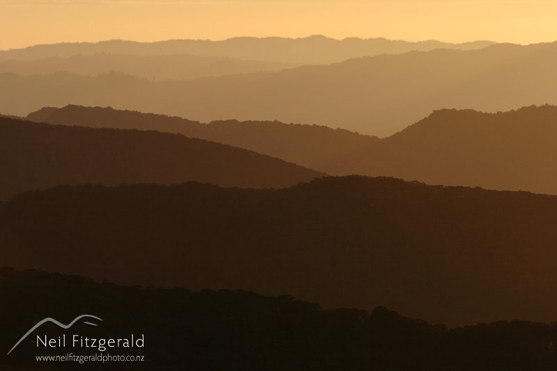 Te-Urewera-sunrise_2201.jpg